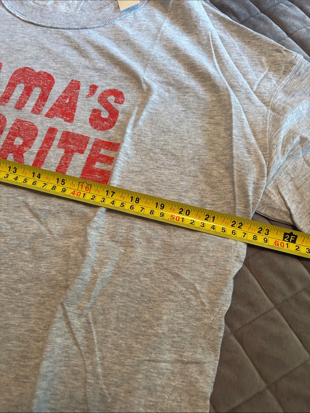Aerie oversized boyfriend Short-Sleeve Tee in Gray with Red Graphic - Picture 2 of 5